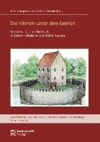 bokomslag Die Kleinen Unter Den Groaen: Ministerialitat Und Niederadel in Spatem Mittelalter Und Fruher Neuzeit
