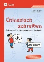 bokomslag Chinesisch schreiben