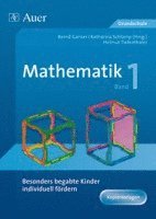 bokomslag Begabte Kinder individuell fördern, Mathe Band 1