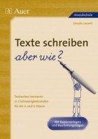 bokomslag Texte schreiben - aber wie?