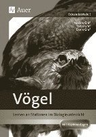 bokomslag Vögel