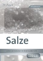 bokomslag Salze - Lernen an Stationen im Chemieunterricht
