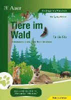 bokomslag Tiere im Wald für die Kita