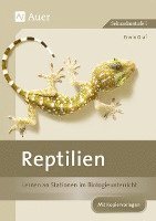 Reptilien 1