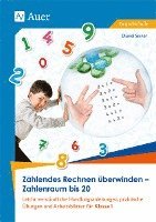 bokomslag Zählendes Rechnen überwinden - Zahlenraum bis 20