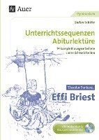 Stefan Schäfer - Theodor Fontane: Effi Briest, Häftad