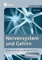 bokomslag Nervensystem und Gehirn