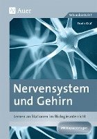 Nervensystem und Gehirn 1