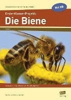 bokomslag Erste-Klasse-Projekt: Die Biene