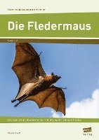 bokomslag Die Fledermaus