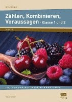 bokomslag Zählen, Kombinieren, Voraussagen - Klasse 1 und 2