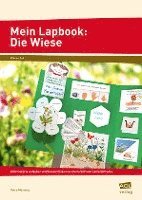 bokomslag Mein Lapbook: Die Wiese