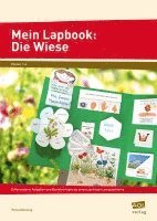 bokomslag Mein Lapbook: Die Wiese