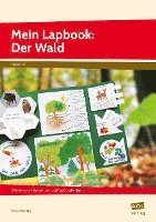 bokomslag Mein Lapbook: Der Wald