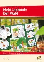 bokomslag Mein Lapbook: Der Wald