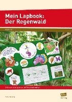 bokomslag Mein Lapbook: Der Regenwald