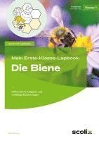 bokomslag Mein Erste-Klasse-Lapbook: Die Biene
