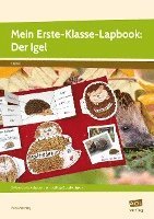 bokomslag Mein Erste-Klasse-Lapbook: Der Igel