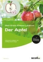 bokomslag Mein Erste-Klasse-Lapbook: Der Apfel