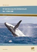 bokomslag Orientierung im Zahlenraum bis 1 000 000