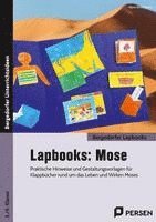 bokomslag Lapbooks: Mose - 3./4. Klasse