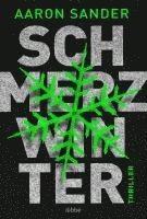 bokomslag Schmerzwinter