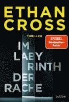 Ethan Cross - Im Labyrinth der Rache, Häftad