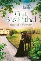 bokomslag Gut Rosenthal - Nebel über Pommern