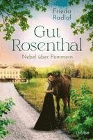 Gut Rosenthal - Nebel über Pommern 1