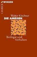 Walter Kirchner - Die Ameisen, Häftad