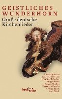 Hansjakob Becker, Ansgar Franz, Jürgen Henkys, Hermann Kurzke, Christa Reich, Alex Stock - Geistliches Wunderhorn, Häftad
