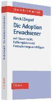 bokomslag Die Adoption Erwachsener