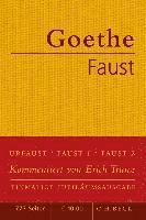 bokomslag Faust Der Tragodie erster und zweiter Teil Urfaust