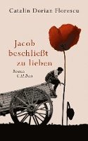 bokomslag Jacob beschließt zu lieben