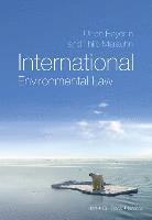 bokomslag International Environmental Law