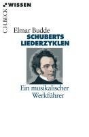 bokomslag Schuberts Liederzyklen
