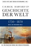 bokomslag Geschichte der Welt  Wege zur modernen Welt