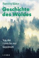 bokomslag Geschichte des Waldes. Sonderausgabe