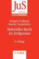 Otto Tempel, Christiane Graßnack, Frank Kosziol, Bernhard Seyderhelm - Materielles Recht im Zivilprozess, Häftad