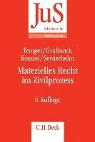 Materielles Recht im Zivilprozess 1