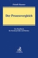 Christine Haumer, Hubert Fleindl - Der Prozessvergleich, Häftad