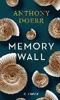 Memory Wall 1