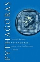 Pythagoras 1