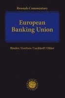 bokomslag European Banking Union