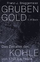 Franz-Josef Brüggemeier - Grubengold, Inbunden