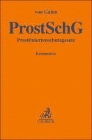 bokomslag Gesetz zum Schutz von in der Prostitution tätigen Personen