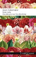 Iwan Turgenjew - Erste Liebe, Häftad