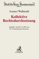 bokomslag Kollektive Rechtsdurchsetzung