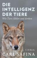 bokomslag Die Intelligenz der Tiere