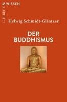 bokomslag Der Buddhismus